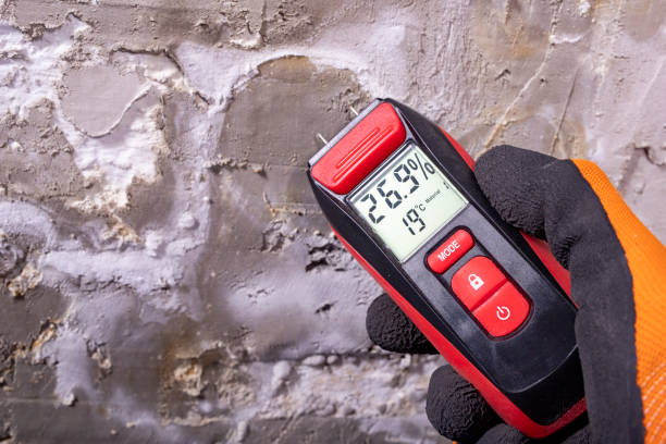 Best Emergency Mold Removal  in Silver Spring, MD