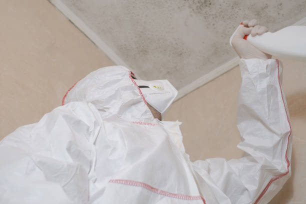 Best Mold Removal Near Me  in Silver Spring, MD