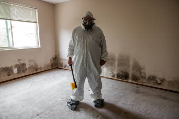 Best Office Mold Removal Services  in Silver Spring, MD