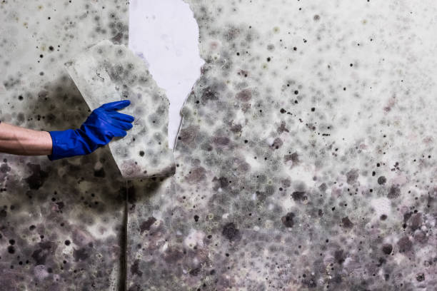 Water Damage Restoration in Silver Spring, MD
